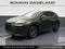 2024 Lexus NX NX 250