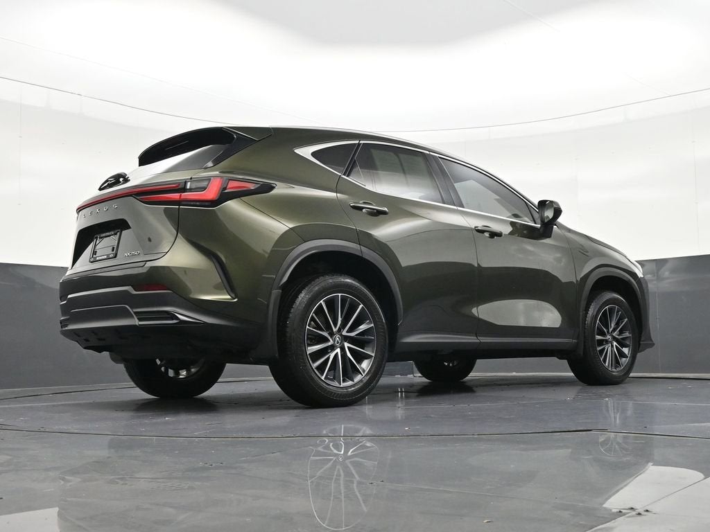 2024 Lexus NX NX 250