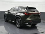 2024 Lexus NX NX 250