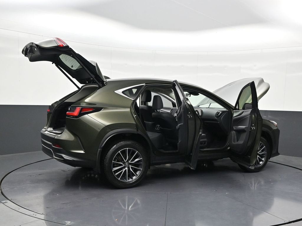 2024 Lexus NX NX 250