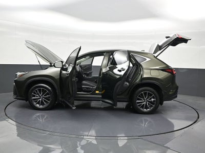 2024 Lexus NX NX 250
