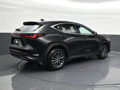 2025 Lexus NX NX 250