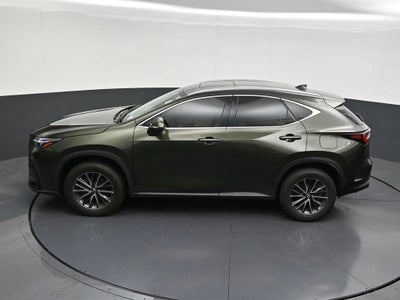 2024 Lexus NX NX 250 Premium