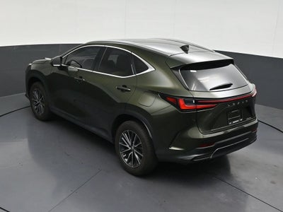 2024 Lexus NX NX 250 Premium