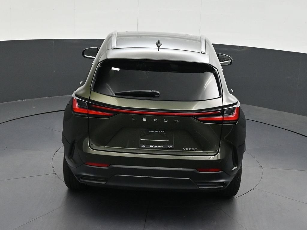2024 Lexus NX NX 250 Premium