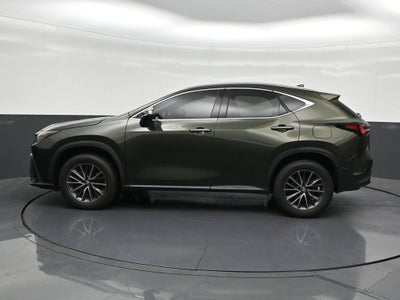 2024 Lexus NX NX 250 Premium