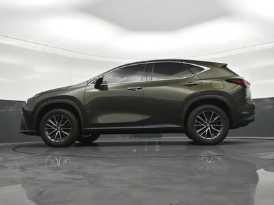 2024 Lexus NX NX 250 Premium