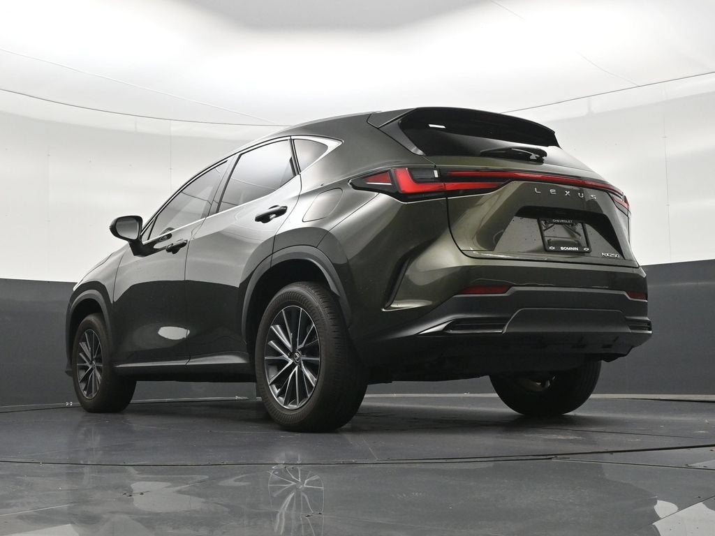2024 Lexus NX NX 250 Premium