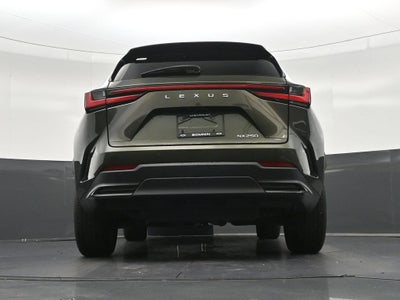 2024 Lexus NX NX 250 Premium