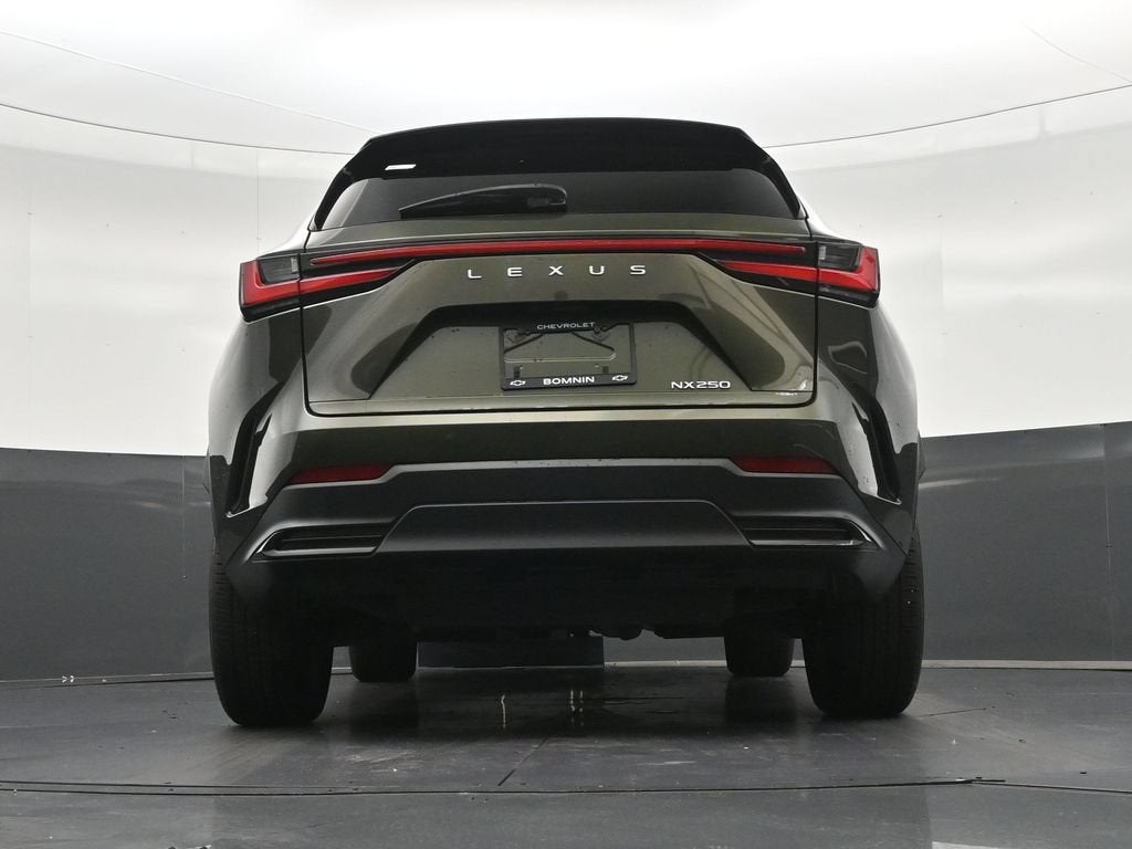 2024 Lexus NX NX 250 Premium