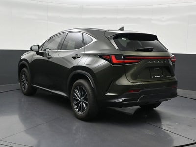 2024 Lexus NX NX 250 Premium