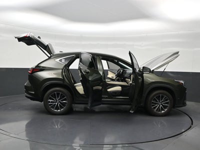 2024 Lexus NX NX 250 Premium