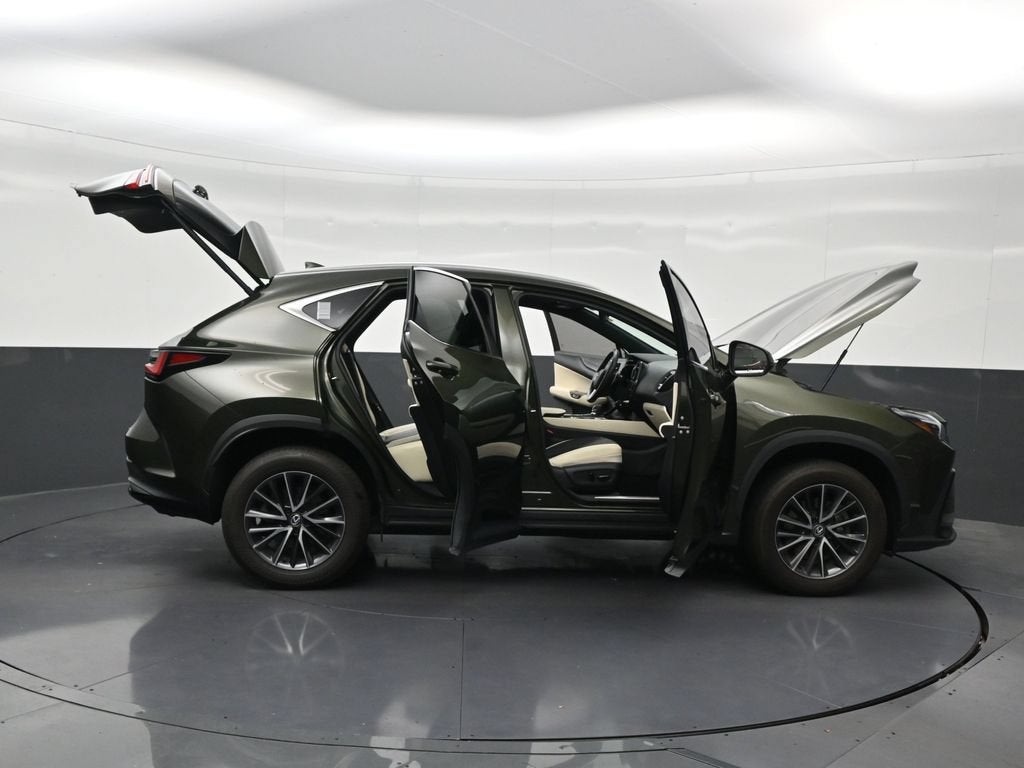 2024 Lexus NX NX 250 Premium