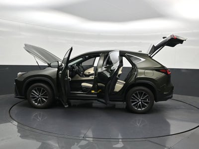 2024 Lexus NX NX 250 Premium