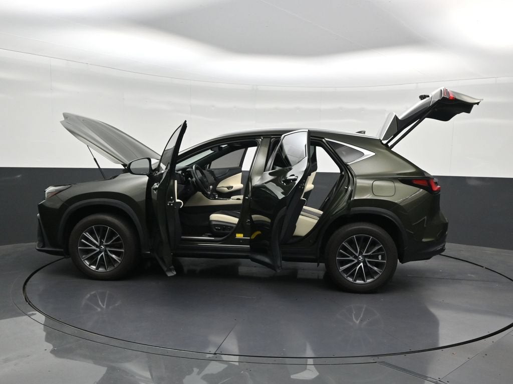 2024 Lexus NX NX 250 Premium