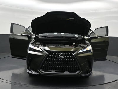 2024 Lexus NX NX 250 Premium