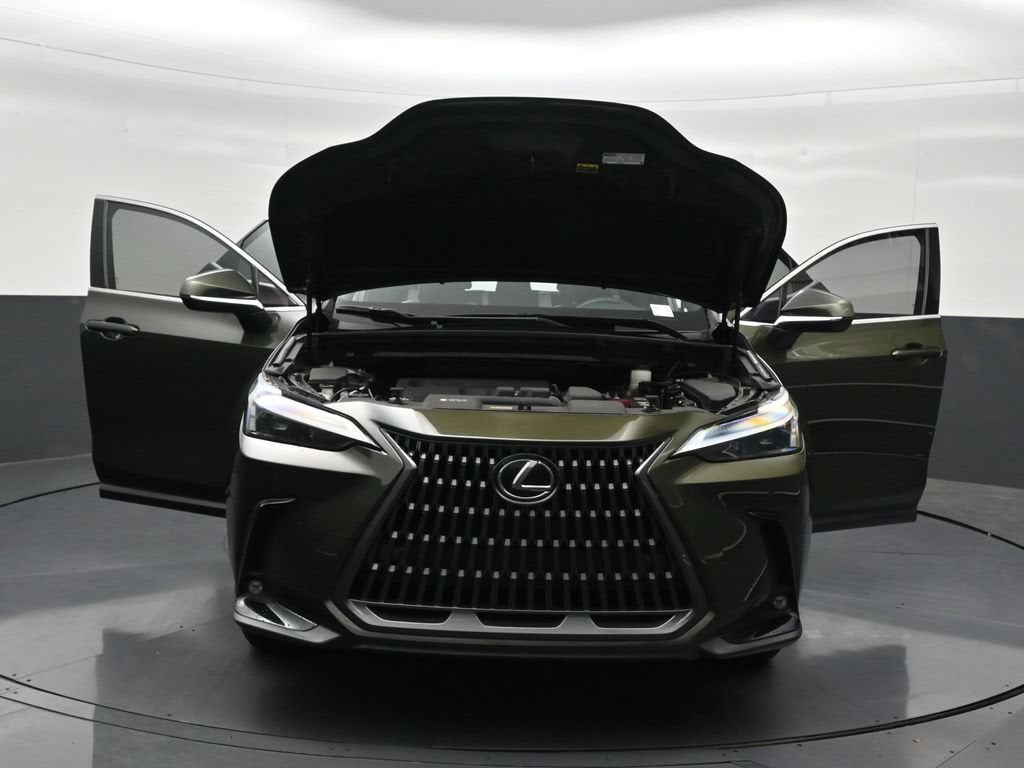 2024 Lexus NX NX 250 Premium