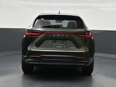 2024 Lexus NX NX 250 Premium