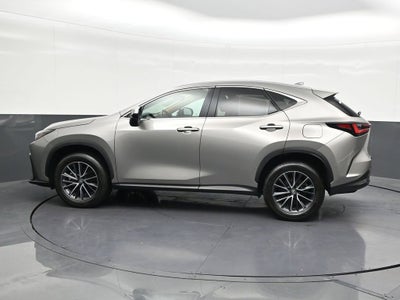 2024 Lexus NX NX 250 Premium