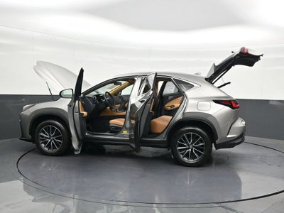 2024 Lexus NX NX 250 Premium