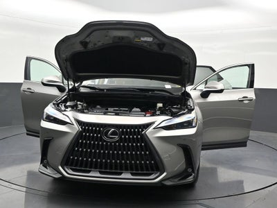 2024 Lexus NX NX 250 Premium