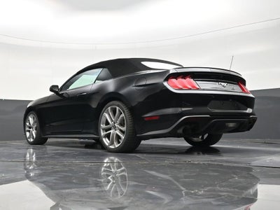 2023 Ford Mustang EcoBoost