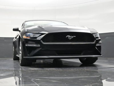 2023 Ford Mustang EcoBoost