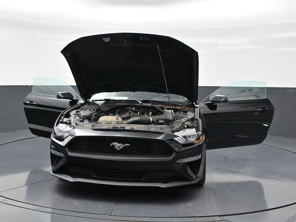 2023 Ford Mustang EcoBoost
