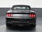2023 Ford Mustang EcoBoost