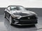 2023 Ford Mustang EcoBoost