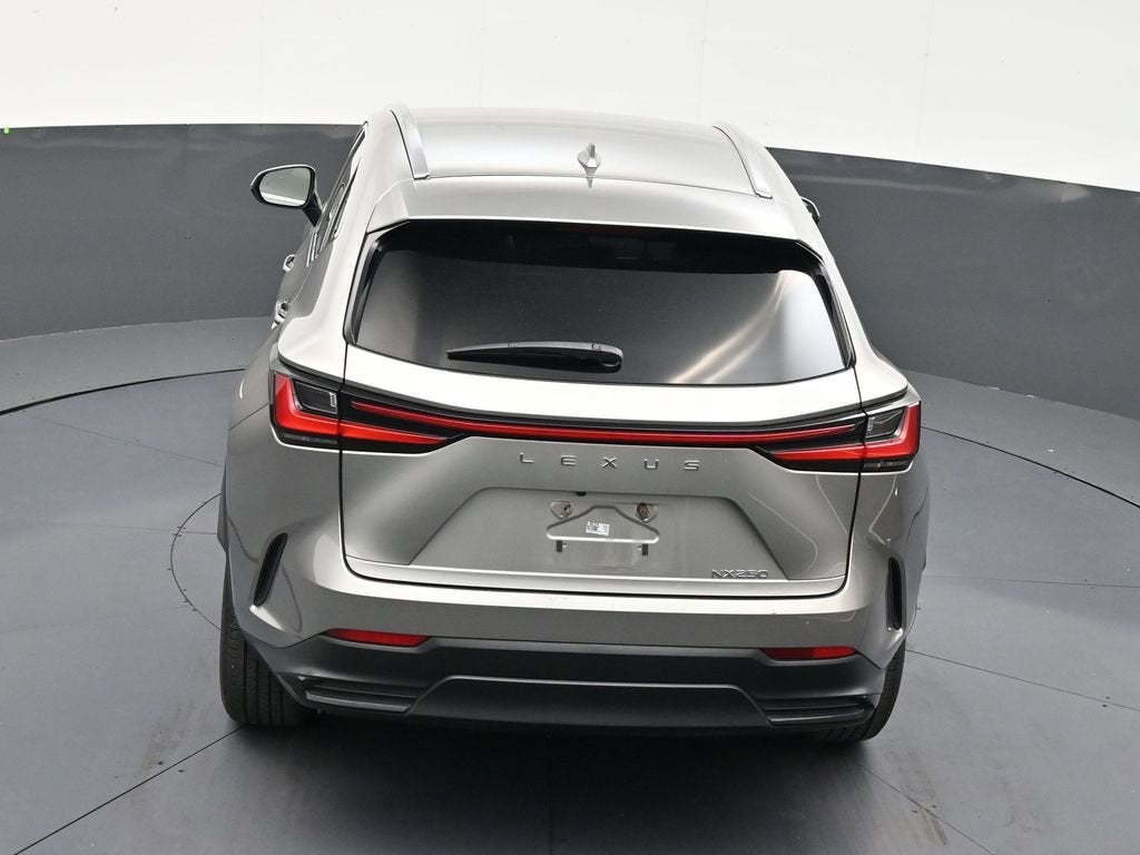 2024 Lexus NX NX 250