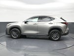 2024 Lexus NX NX 250