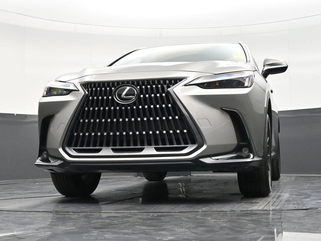2024 Lexus NX NX 250