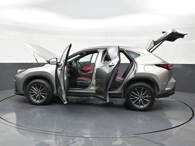 2024 Lexus NX NX 250
