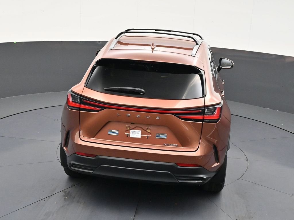 2025 Lexus NX NX 250