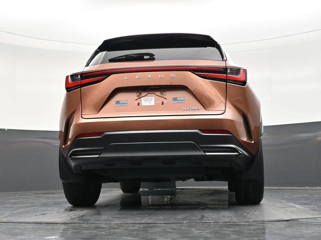 2025 Lexus NX NX 250