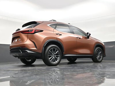 2025 Lexus NX NX 250