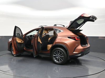 2025 Lexus NX NX 250