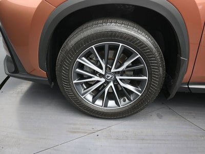 2025 Lexus NX NX 250