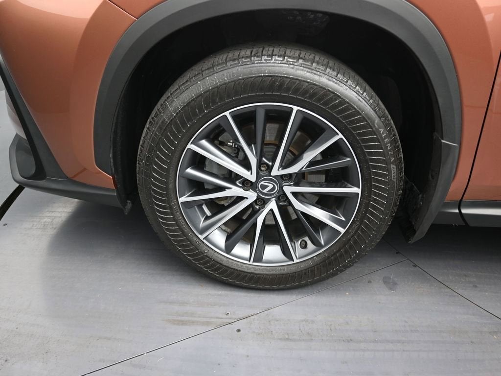 2025 Lexus NX NX 250