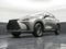 2025 Lexus NX 250 NX 250