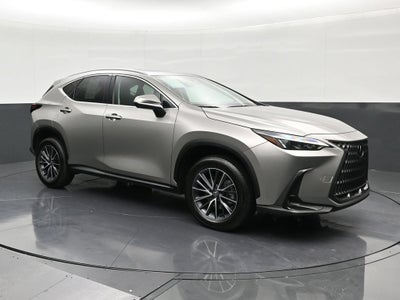 2025 Lexus NX 250 NX 250