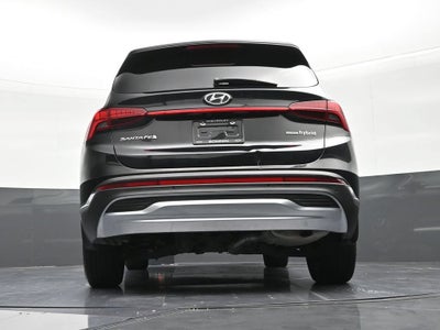 2023 Hyundai Santa Fe Hybrid SEL Premium