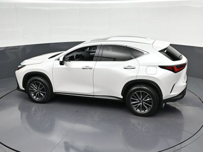 2024 Lexus NX 350 Premium