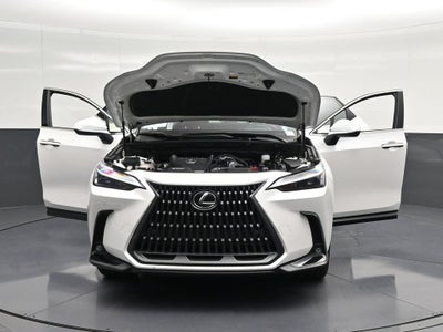 2024 Lexus NX 350 Premium